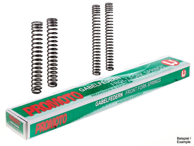 Promoto Molle forcella Yamaha XJR 1300 (RP06 2002-)